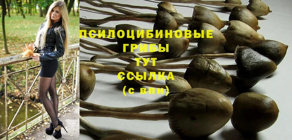 мет Кинешма