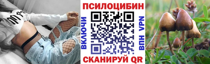 Псилоцибиновые грибы мицелий  OMG ONION  Городище 