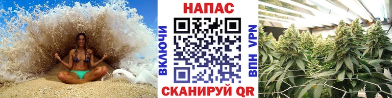 где купить наркотик  Городище  Каннабис план 